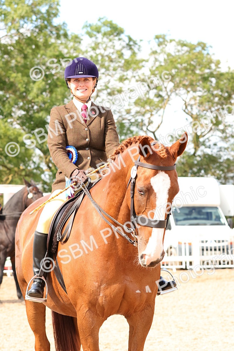 SBM_13573 - Class 212 - Ridden Hunter  - Large