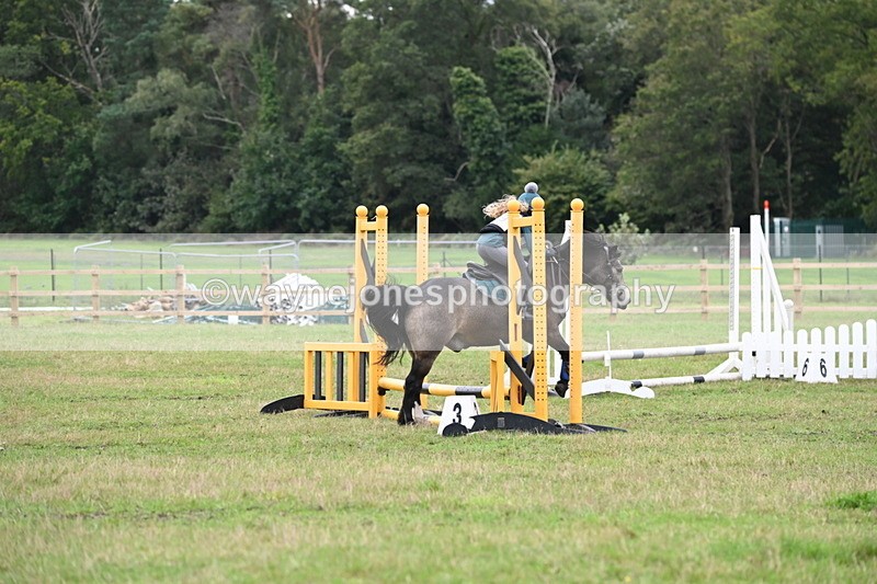 WJ6_0317 - 40cm Time 10:00 to 10:28
