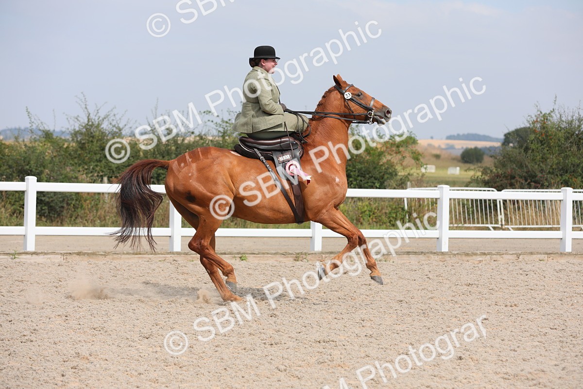 SBM_14664 - Class 211 Best Side Saddle Horse/Pony