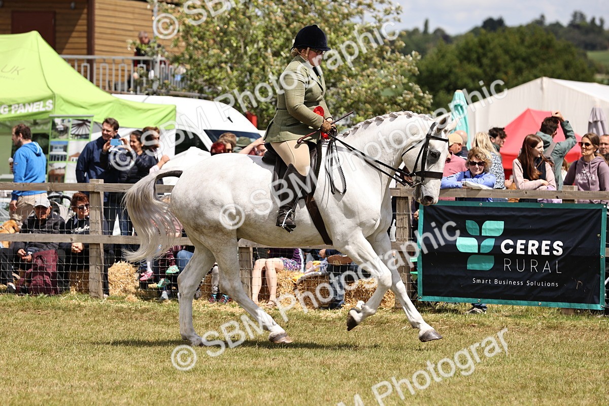 SBM_14793 - Class 88-89 - LIHS BSHA Rising Star of Ridden Hunter Type
