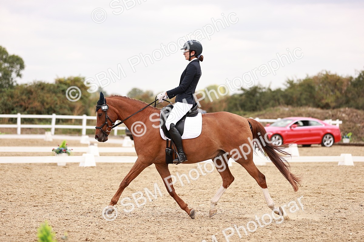 SBM_019294 - Class 20 - Medium 5