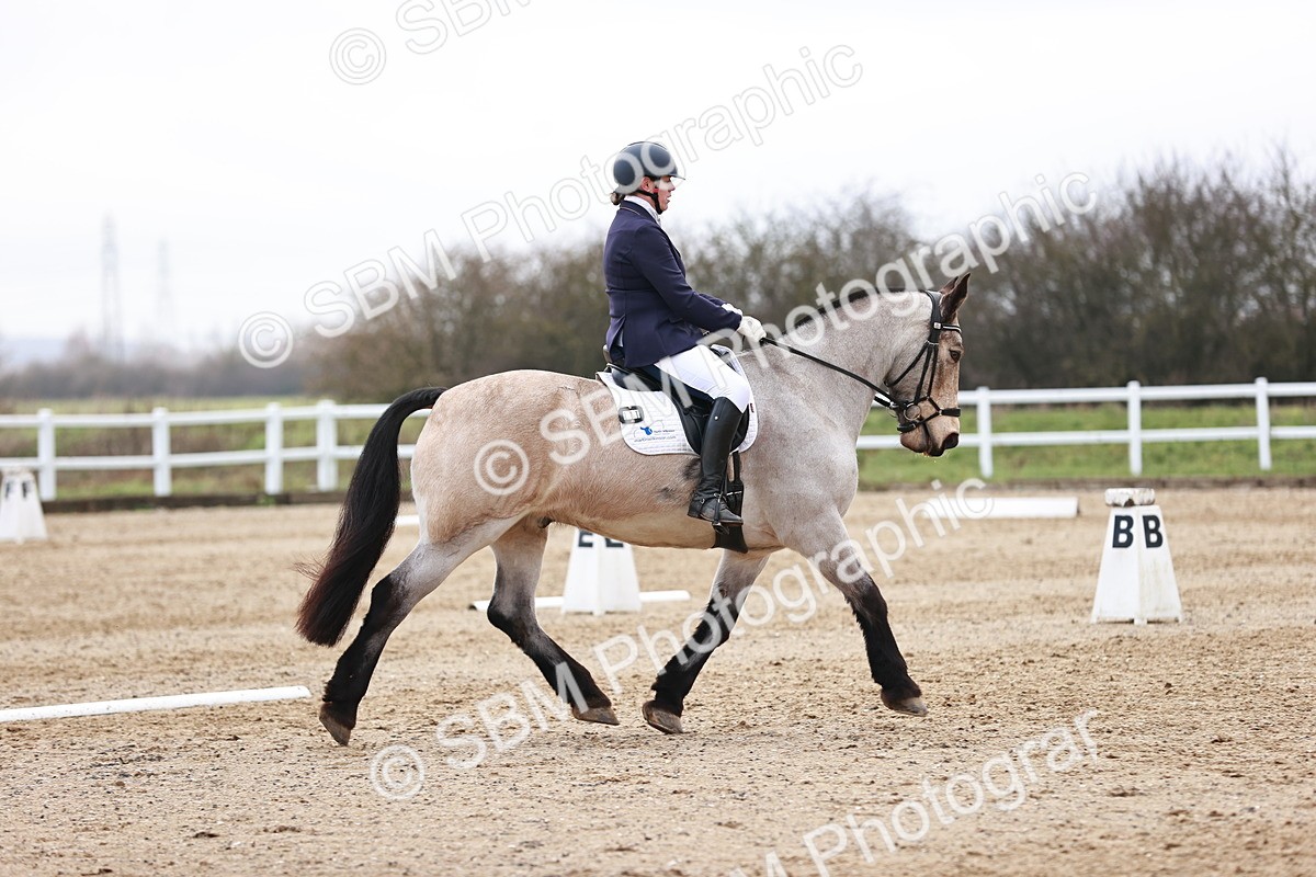 SBM_005212 - Elementary 1