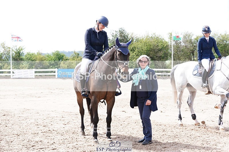 250425-143646-10149 - Cls 34 Young Horse 7yr old