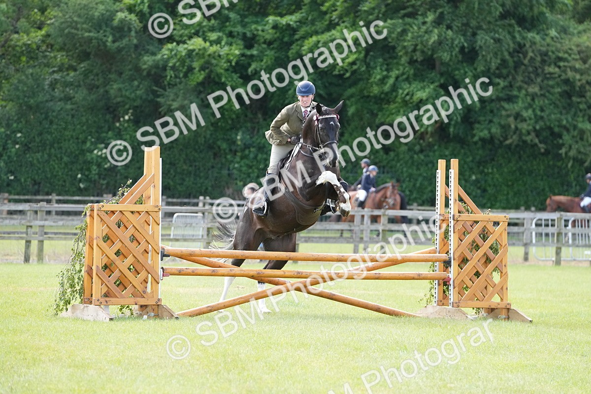 SBM_12867 - Class 99 - RIHS SEIB Working Show Horse