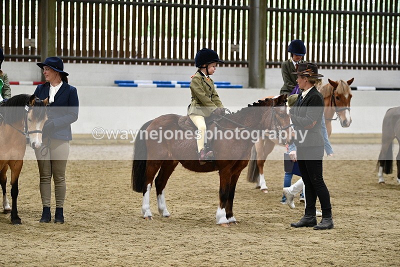 WJ5_7130 - Class 10 Childs Pony
