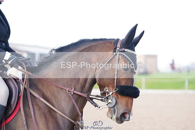 241005A-154050-05075 - SAT Cls 12 Snr Fox & 1.20m Open