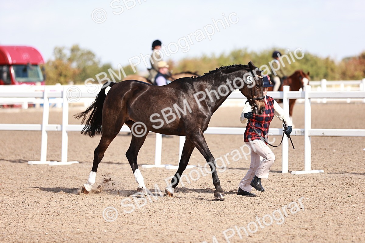 SBM_22790 - Class 705 - IH Combination 65+