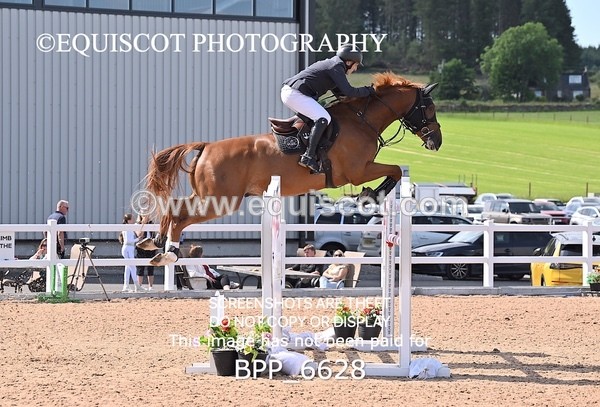 BPP_6628 - CLASS 13 FRI HOYS Talent Seeker Qualifier Inc 7 Year Old Horse Championship Qualifier