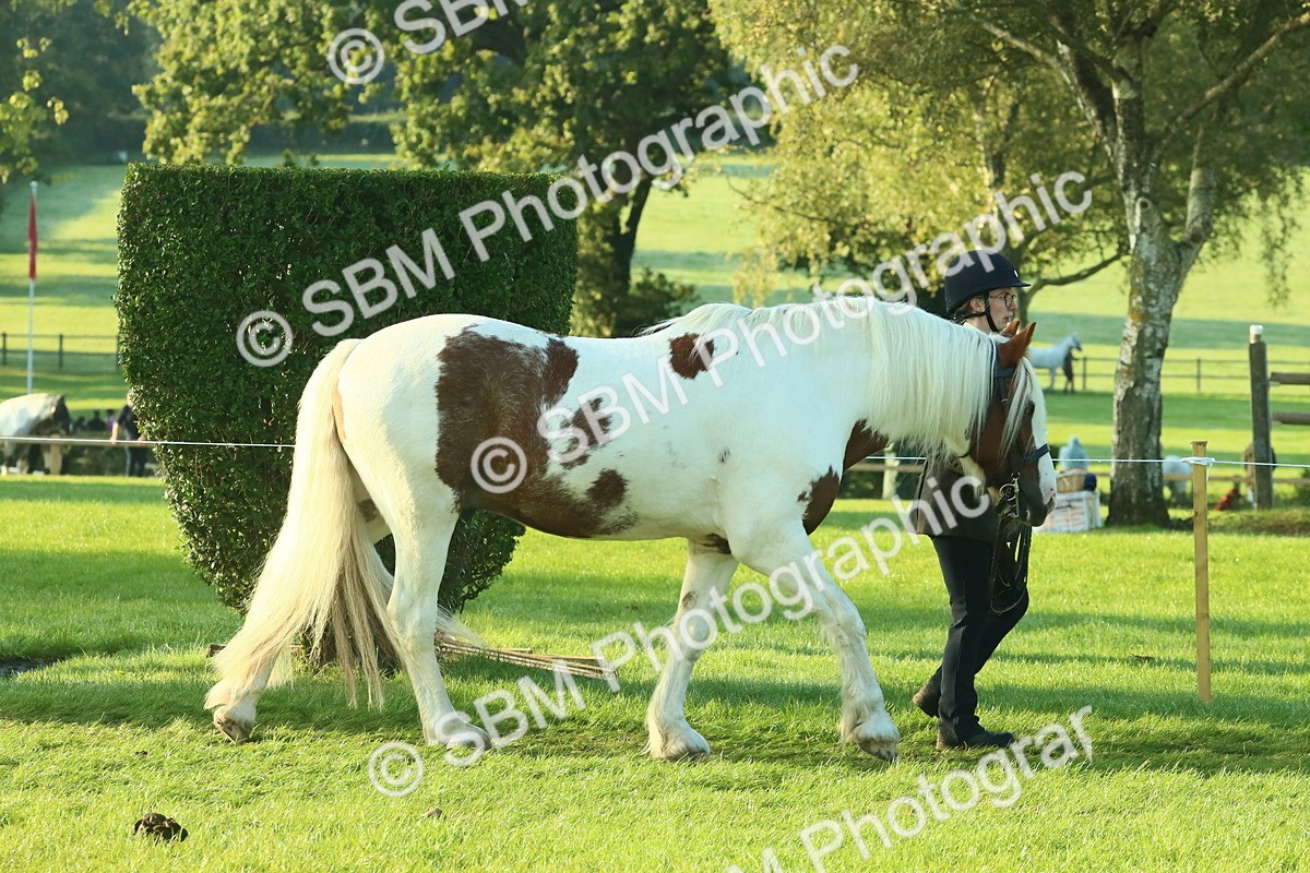 SBM_57321 - S37 - Starters In Hand Showing