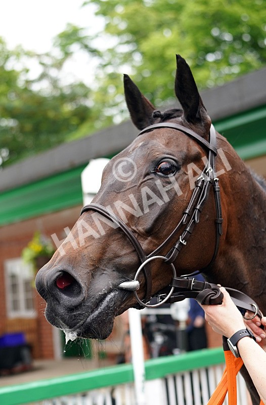 160626-Race 6-Crocus Time-8 - Race 6 17.20pm Next Meeting Wednesday 1st July - Book Now Handicap