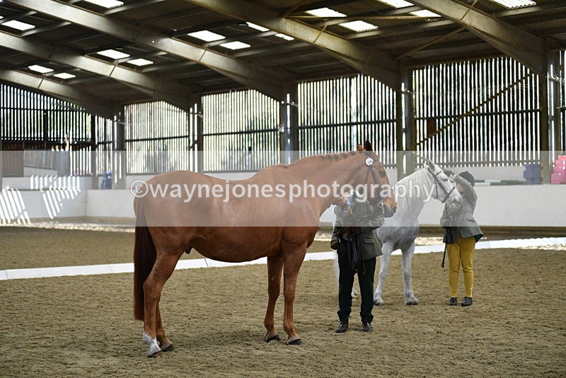 WJ5_4019 - Class 2 Best Condition In hand