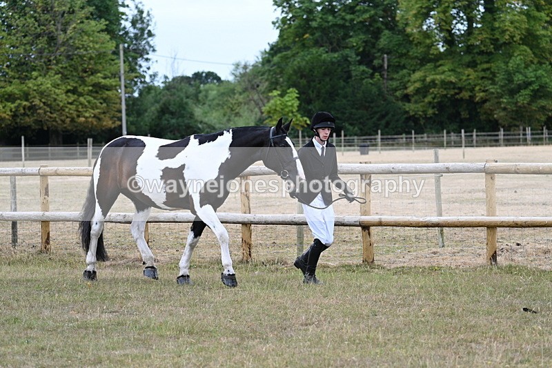 WJ7_8830 - Class 4a Prettiest Mare 14.2hh and over