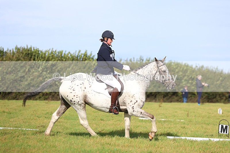 3E7A6034 - Class 1: Trebudannon Open: Dressage (Part 2)