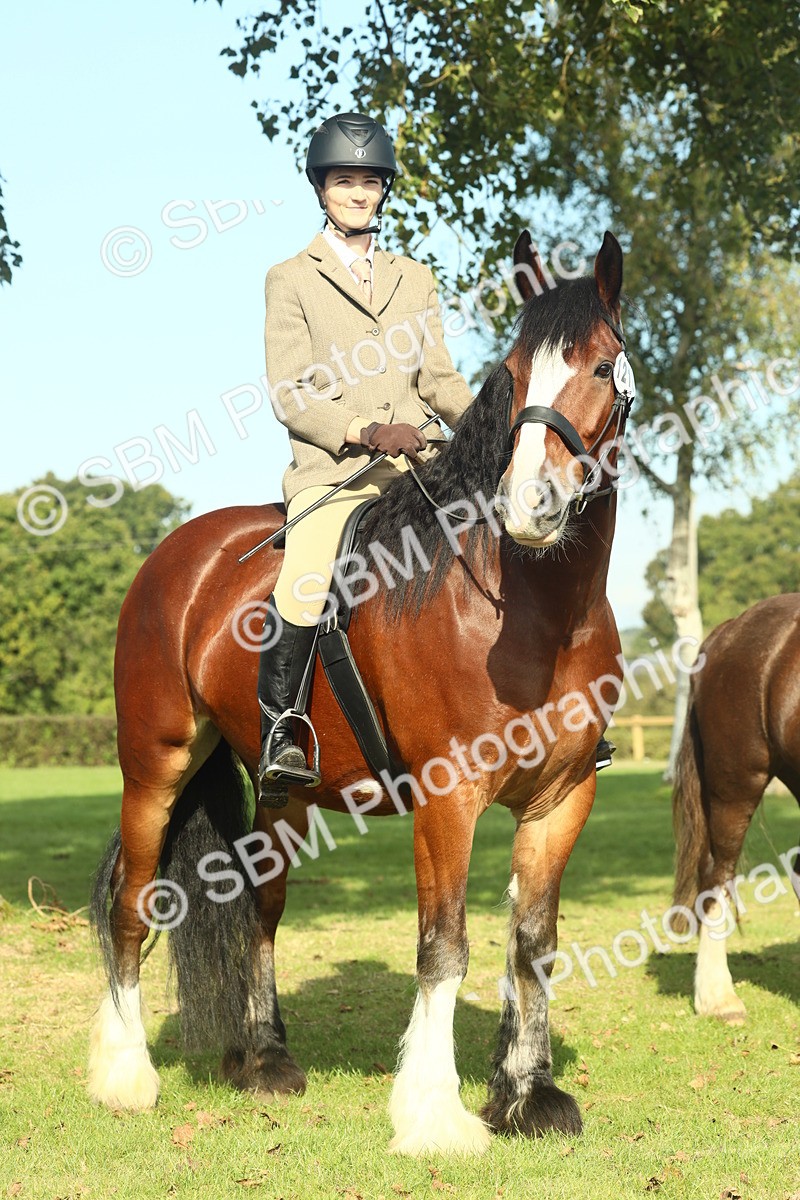 SBM_60009 - S38 - Starters Ridden Showing