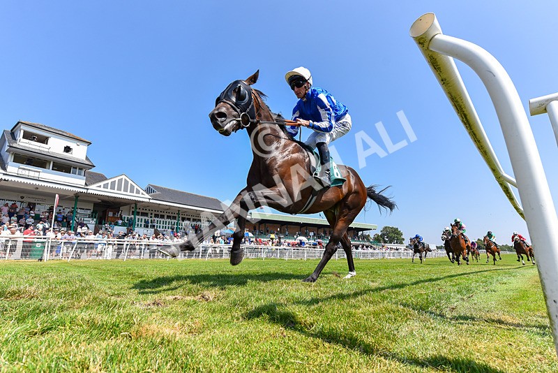 150726-Race 2-South West-3132 - Race 2 14.40pm EBF Restricted Novice Stakes