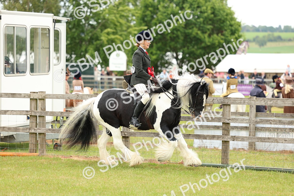 SBM_06263 - Class 39-41 TGCA In Hand and Ridden