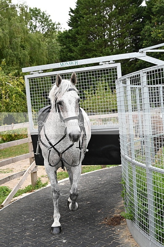 WJ6_2941 - Berks & Bucks - The Old farmhouse - Hound Exercise 20-08-25