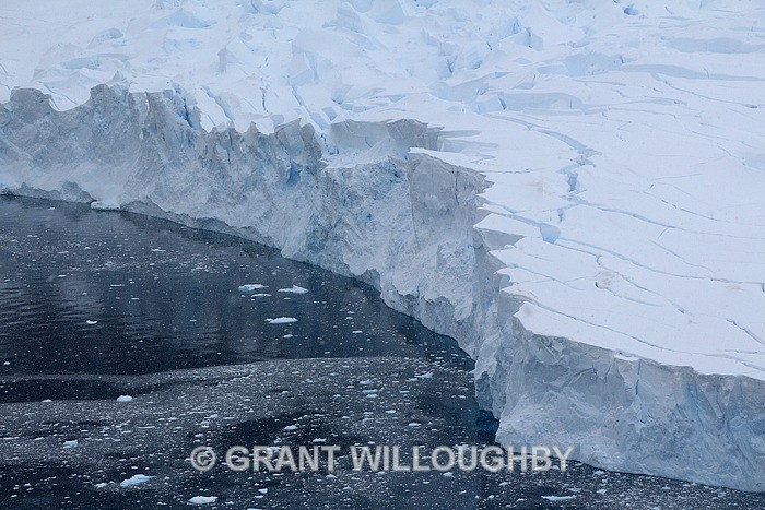 Glacier face - Antartica