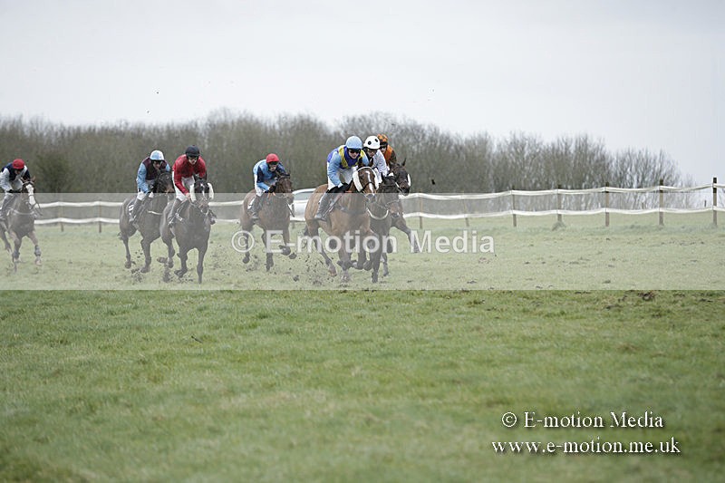 PtP 150320 0285 - New Forest Point-to-Point Larkhill 15/03/20