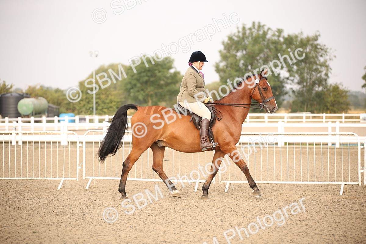 SBM_10202 - Class 402 Riding Club Horse
