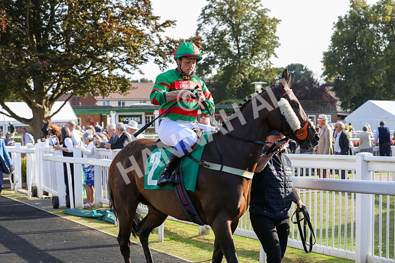 300824-Race 8-Original Thinker-0685 - Race 8