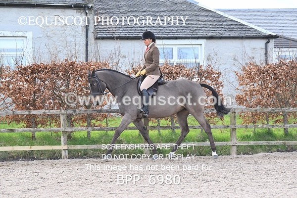 BPP_6980 - RING 1  (RIDDEN HORSES / IN HAND / VETERAN ETC)