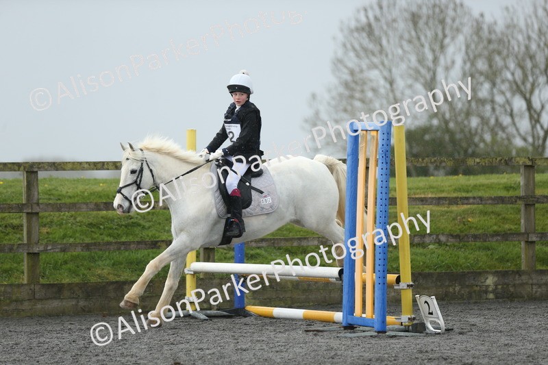 20260412-1880 - Show Jumping