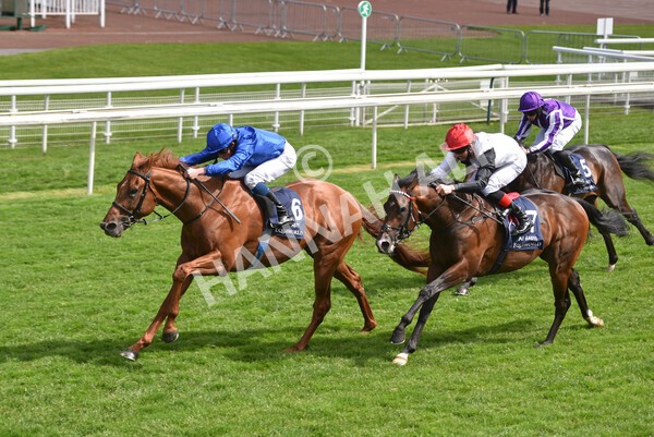 yr13052021r4-36 - Race 4 3.10pm Al Basti Equiworld Dubai Dante Stakes