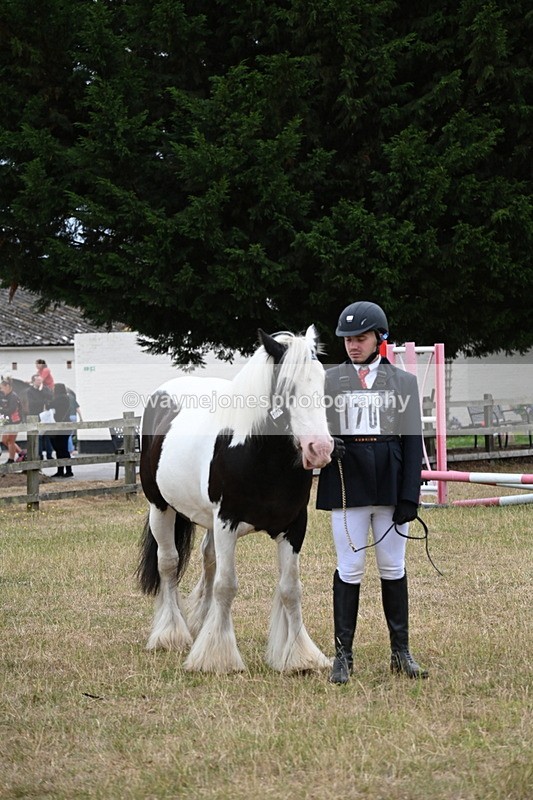 WJ6_8309 - Class 10 Coloured in Hand