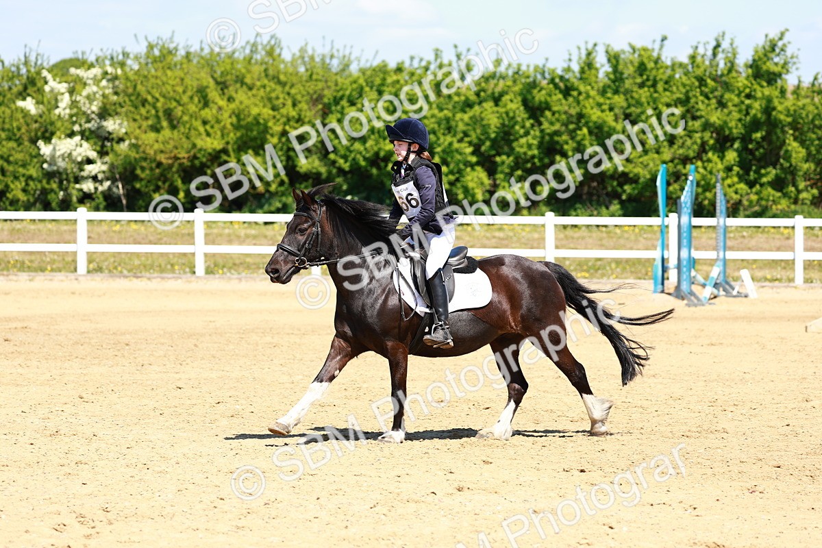 SBM_007472 - Class 3 - 60cm