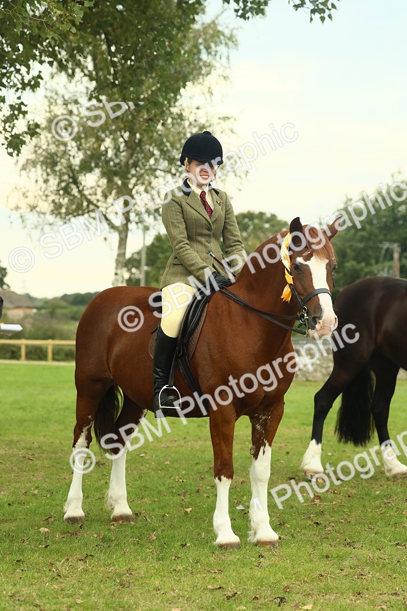 SBM_72335 - S60 - Mountain & Moorland Ridden Large Breeds