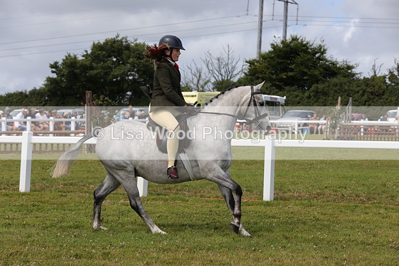 1X9A3995 - Class 32: Show Hunter Pony 153cm and under