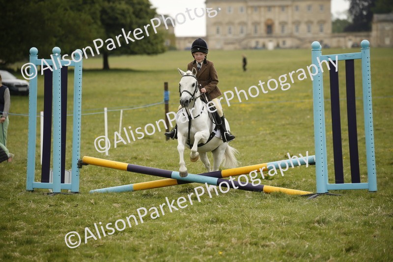 20250517-0872 - Class 2 - 30cm Off Lead Rein