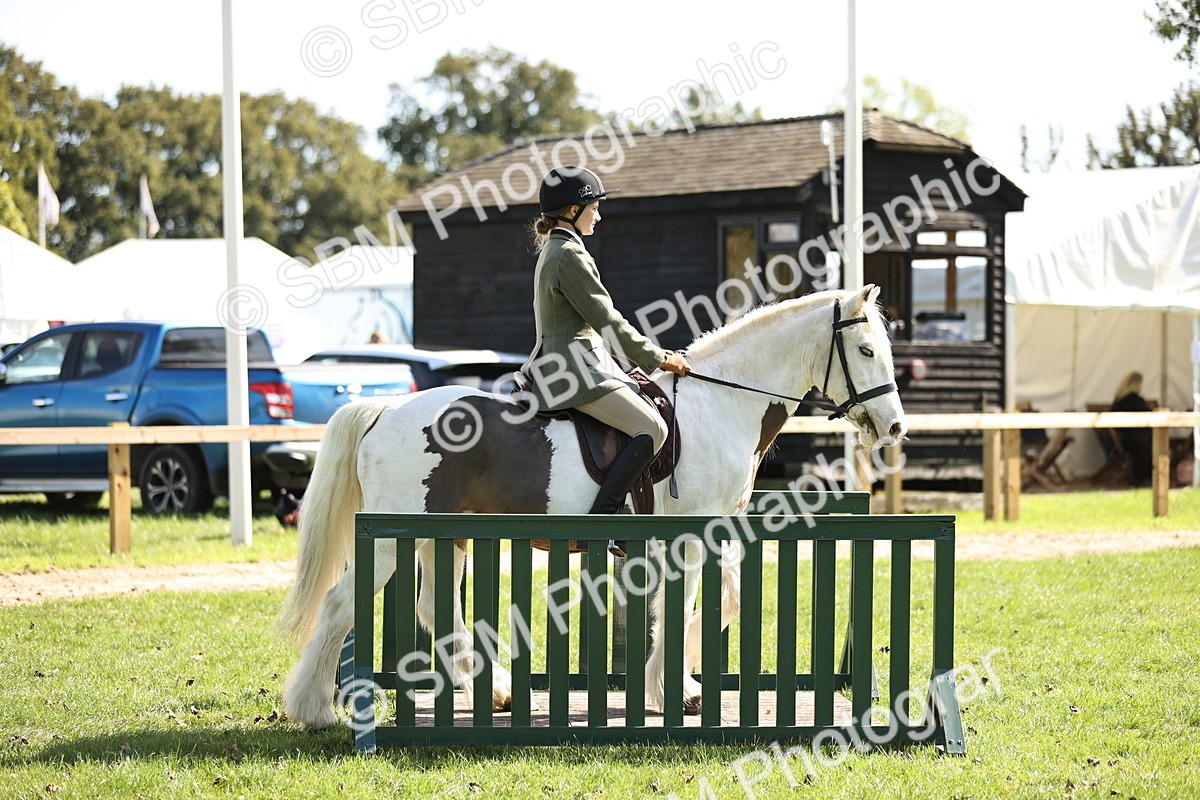 SBM_23010 - S4 - Have a Go at Working Equitation