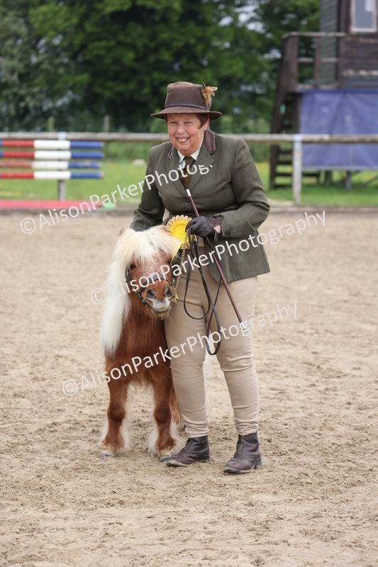 20260504-0543 - Class 4 - Minitures and Shetlands