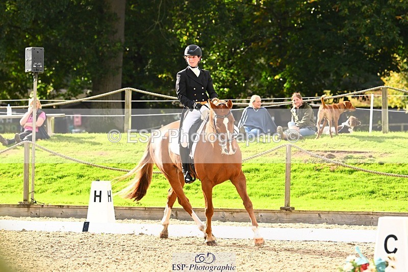 231020-144004-10008 - 309-CROSSTOWN.FINTANS.LAST-Catherine.Burrell-DR