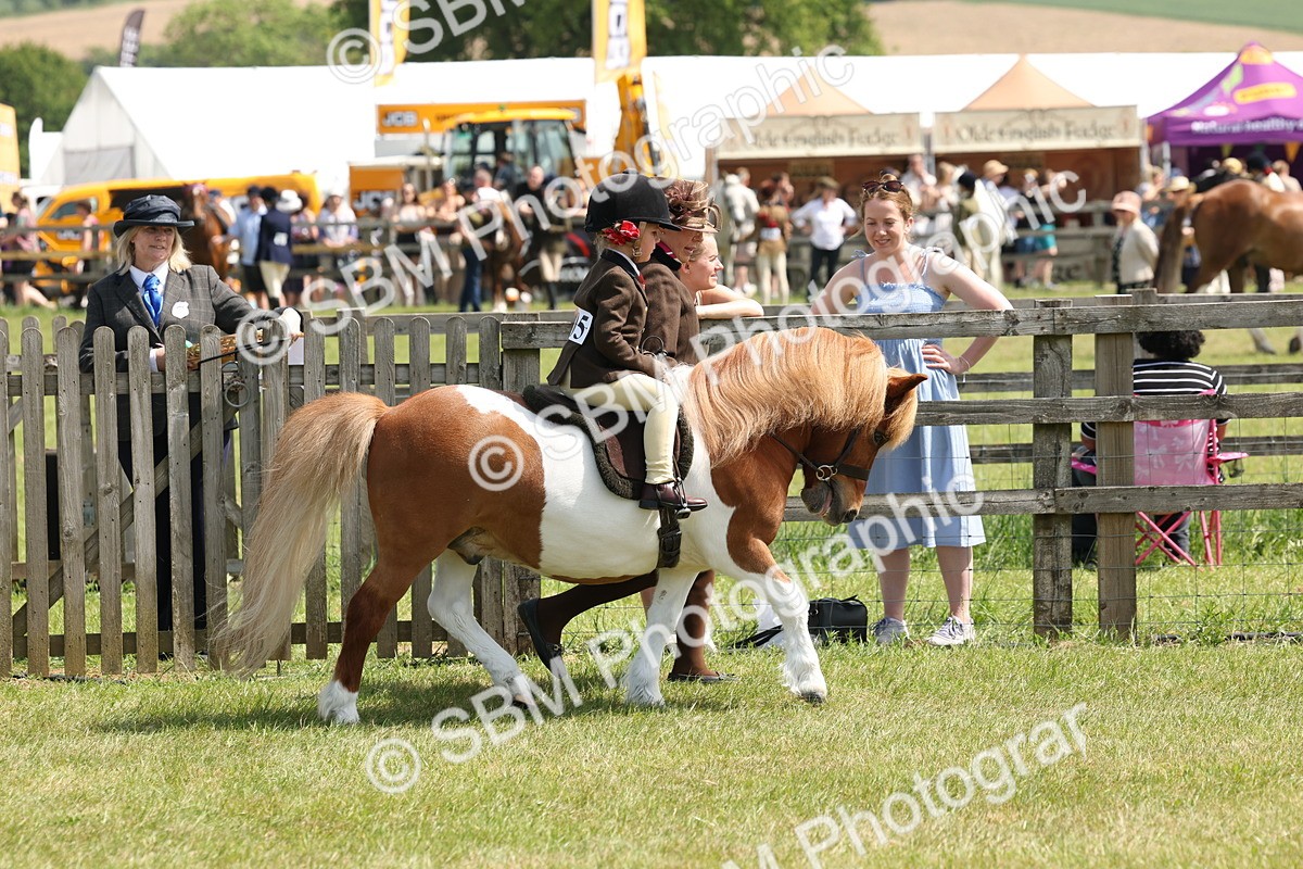 SBM_05220 - Class 24-25 - Mountain & Moorland In Hand Lead Rein and First Ridden