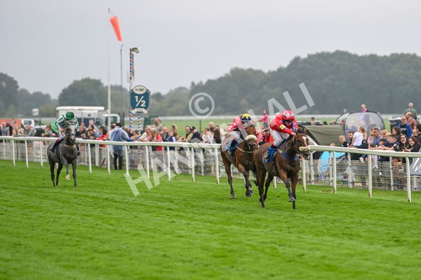 080924-Pony Race-8477 - Pony Race 1.00pm The Dragon (TV and Film) Studios Pony Race 148cm & Under