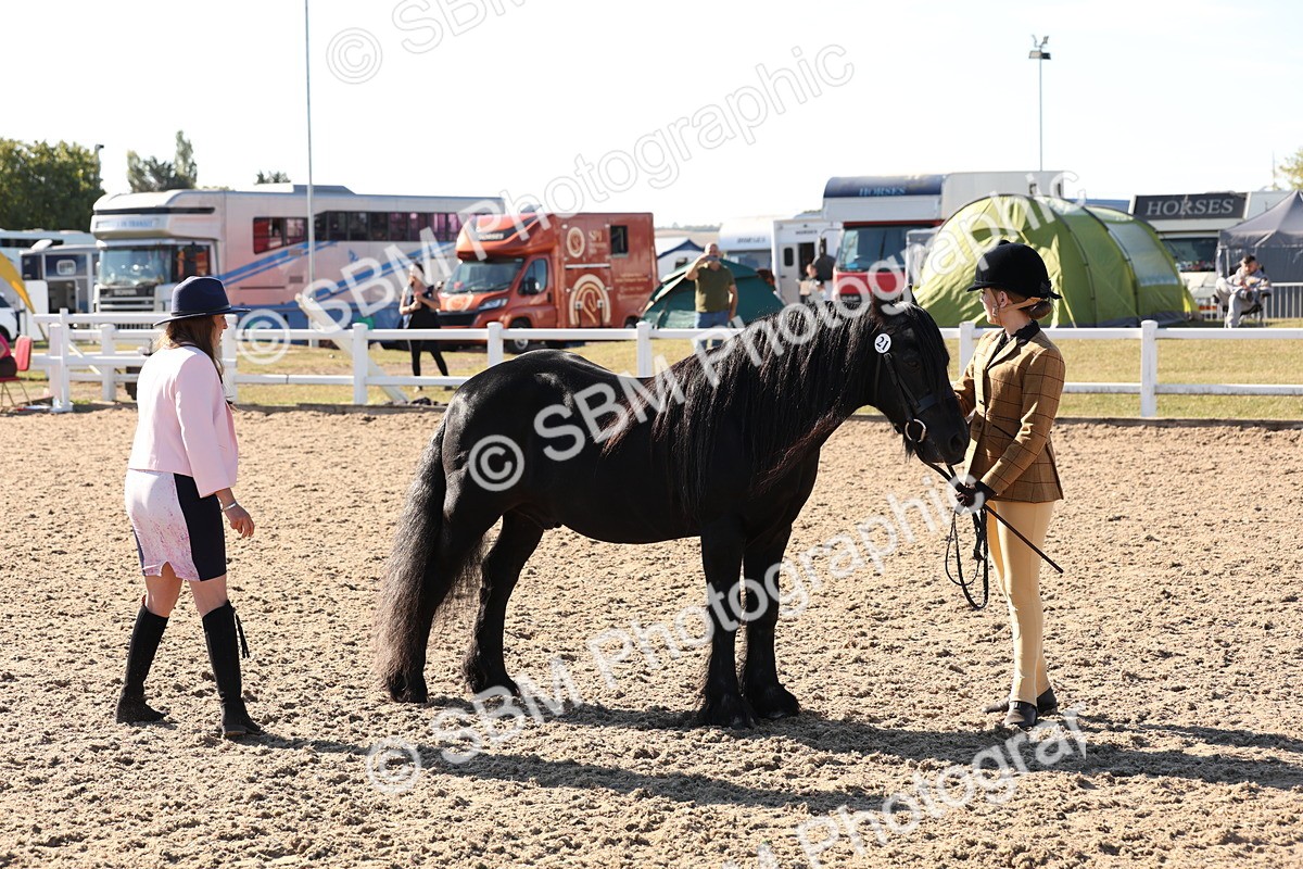 SBM_11742 - Class 204 - Young Handler 11 to 16 years