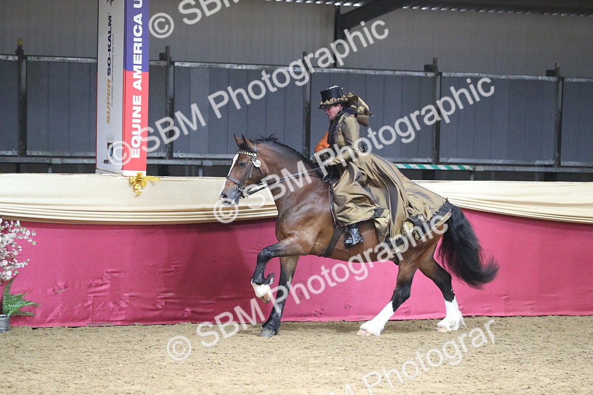 SBM_12021 - Class 106 Ridden Costume- Astride Adult (15-19)