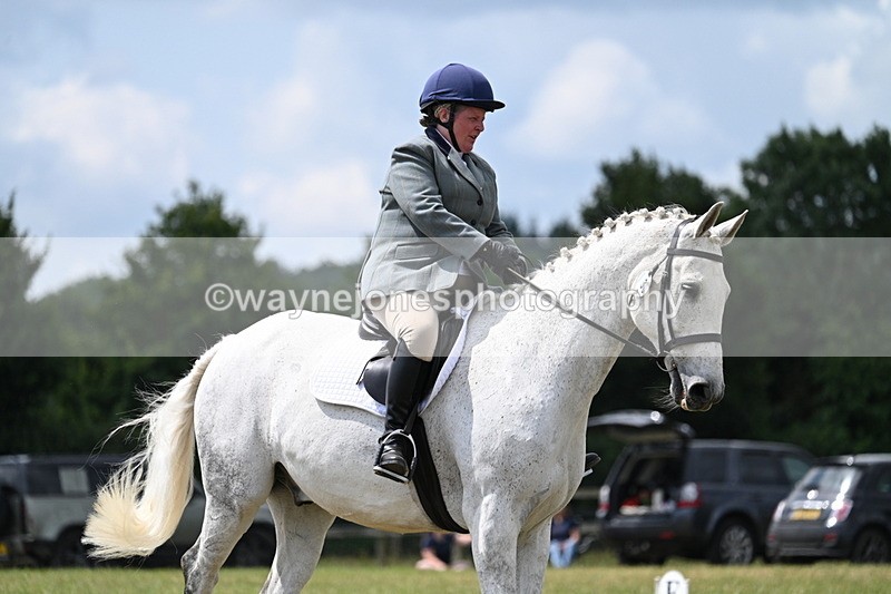 WJ7_5001 - Time 11:22 to 11:51