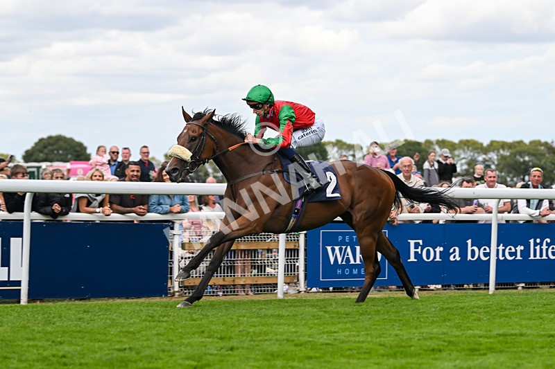 300825-Race 5-High On Hope-1492 - Race 5