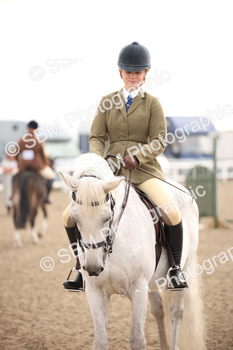 SBM_09805 - Class 401 Riding Club Pony