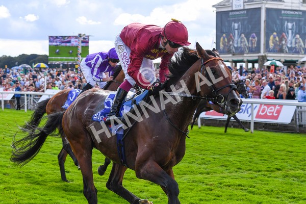260823-Race 2-Middle Earth-0347 - Race 2 Sky Bet Melrose Handicap