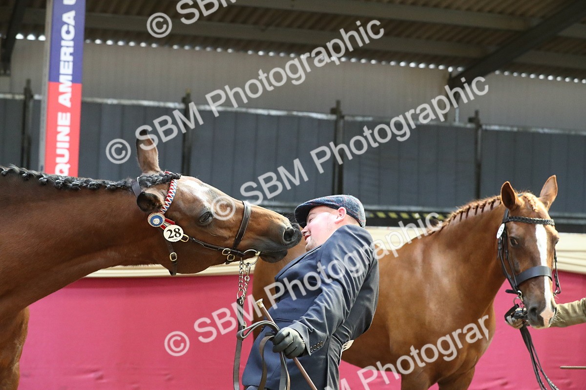 SBM_04436 - Class 7R Regional - IH Diamond