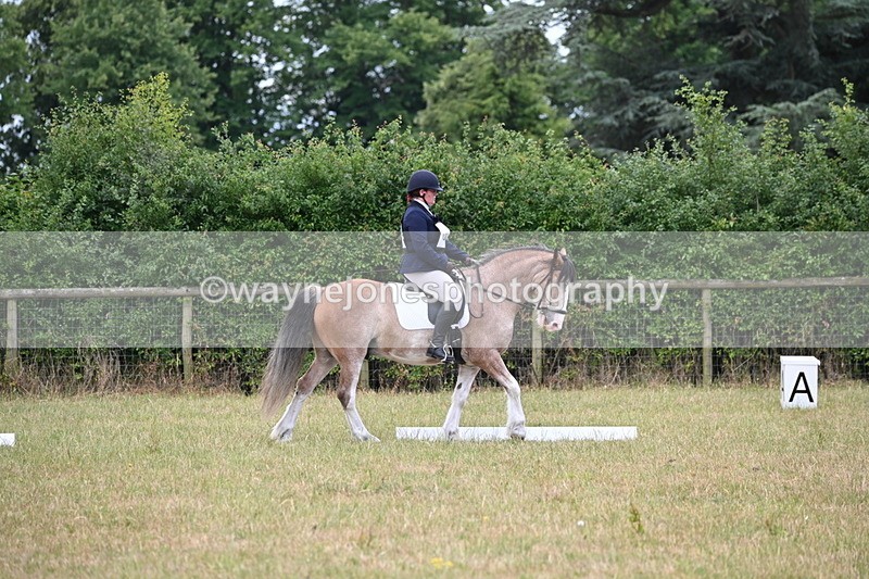 WJ6_3129 - Time 11:07 to 11:34