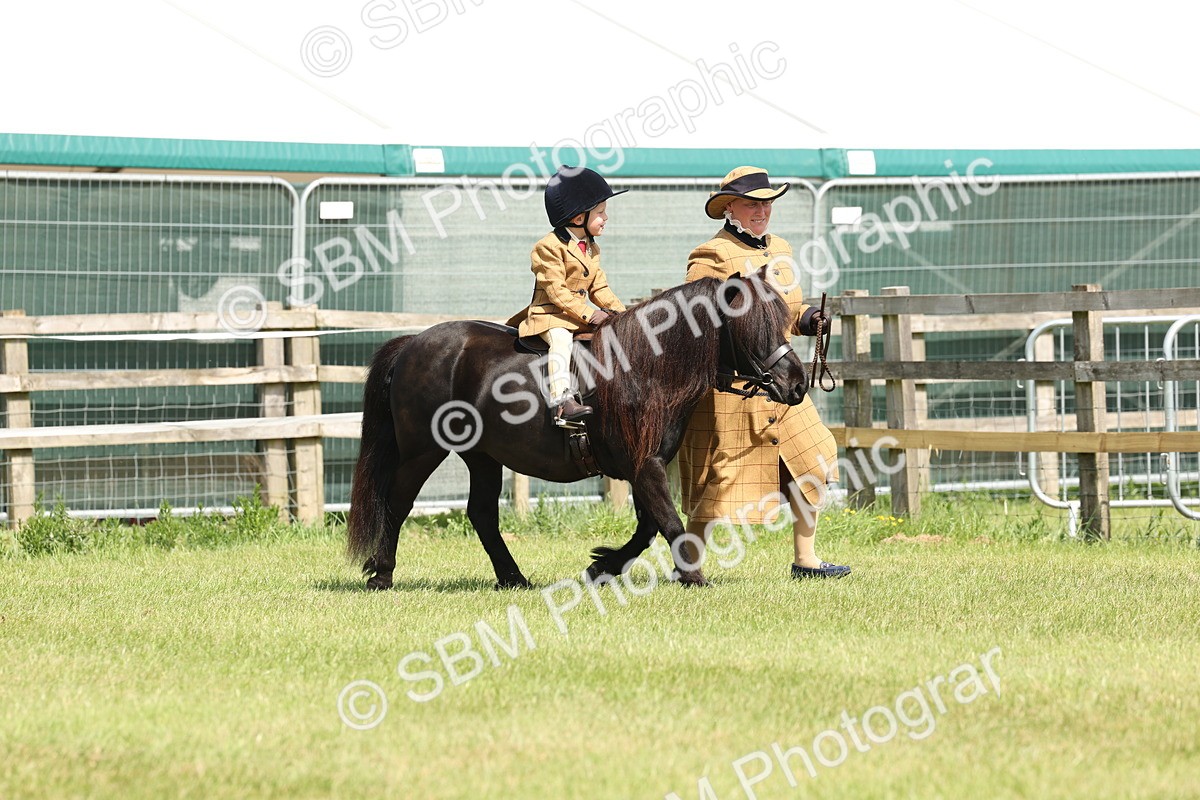 SBM_05169 - Class 24-25 - Mountain & Moorland In Hand Lead Rein and First Ridden