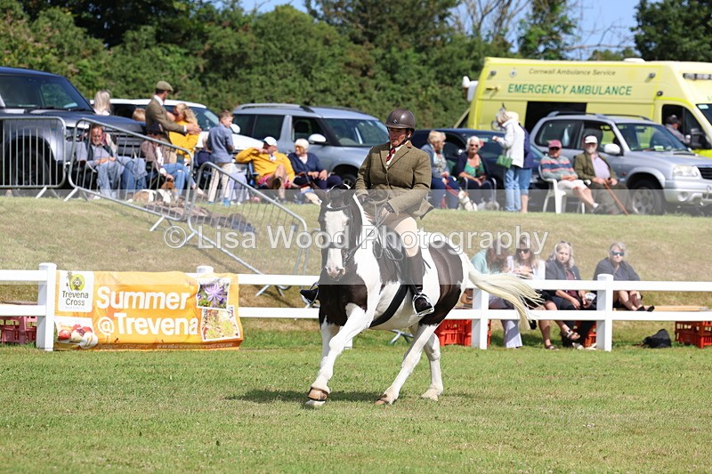 3E7A9932 - Class 5: Rising Star Lightweight/Heavyweight Cobs