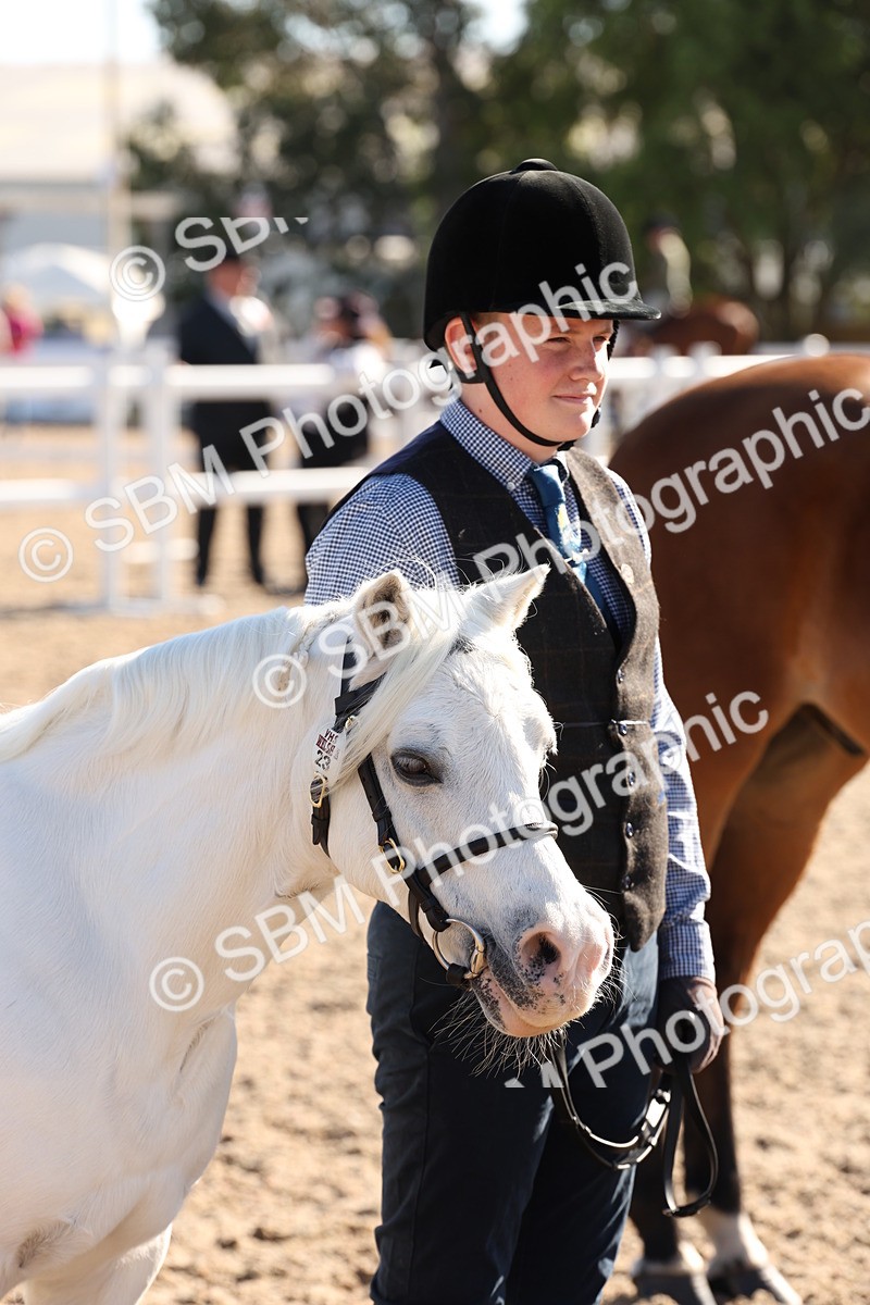 SBM_11744 - Class 204 - Young Handler 11 to 16 years