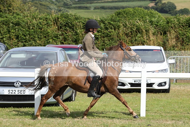 1X9A5831 - Class 40: NPS Welsh A & B
